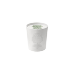 Fir & Grapefruit Ceramic Embossed Candle - Foundation Goods