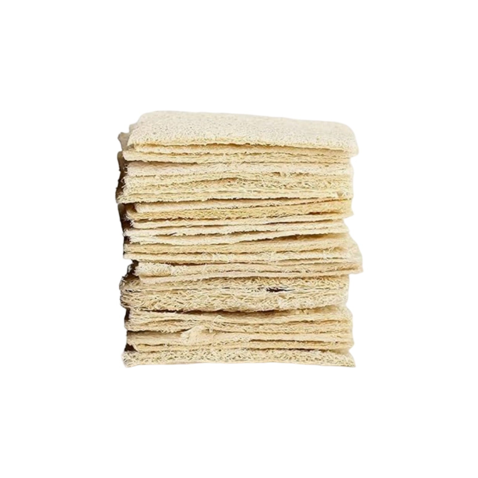 Natural Loofah Sponges - Foundation Goods